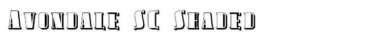 Avondale SC Shaded