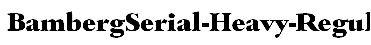 BambergSerial-Heavy-Regular
