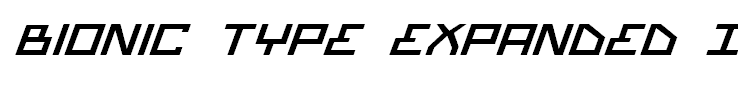 Bionic Type Expanded Italic