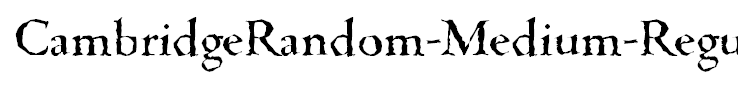 CambridgeRandom-Medium-Regular