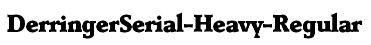 DerringerSerial-Heavy-Regular