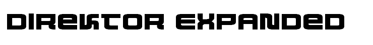 Direktor Expanded