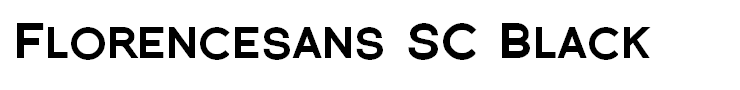 Florencesans SC Black