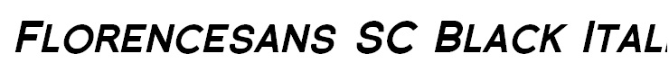 Florencesans SC Black Italic