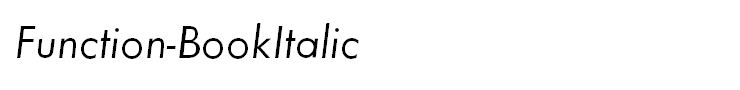Function-BookItalic