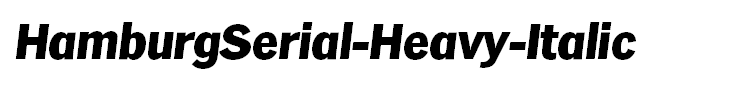 HamburgSerial-Heavy-Italic