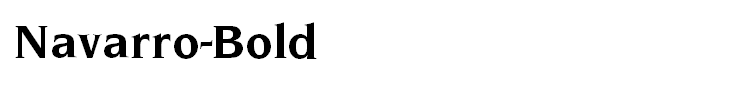 Navarro-Bold