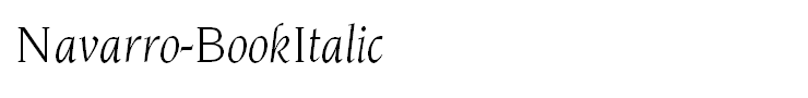 Navarro-BookItalic