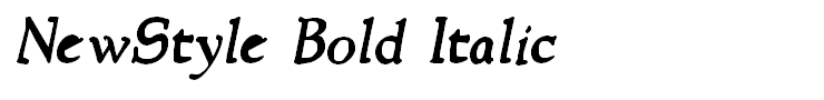 NewStyle Bold Italic