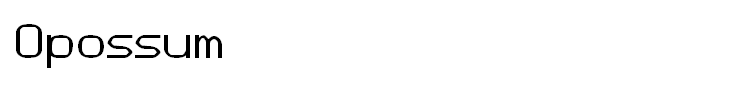 Opossum