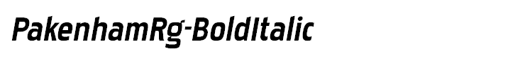 PakenhamRg-BoldItalic
