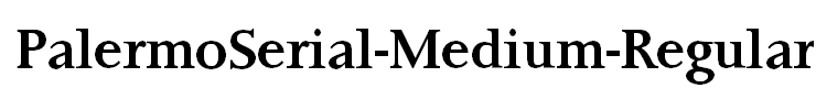 PalermoSerial-Medium-Regular