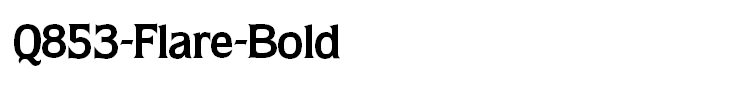 Q853-Flare-Bold