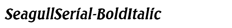 SeagullSerial-BoldItalic