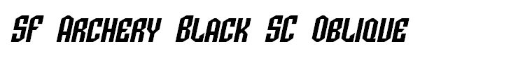 SF Archery Black SC Oblique