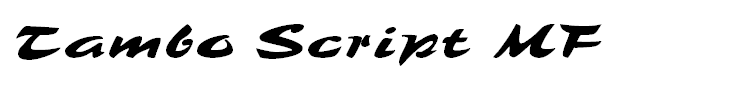 Tambo Script MF