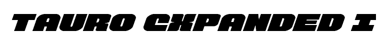 Tauro Expanded Italic