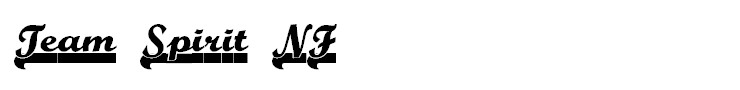 Team Spirit NF